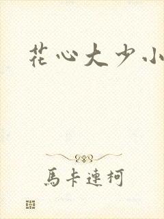 花心大少小说