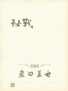 秘战