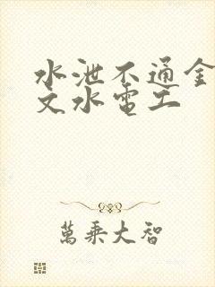 水泄不通金银原文水电工