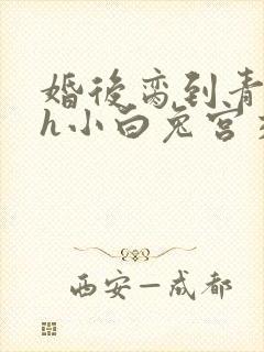 婚后脔到青梅哭h小白兔宫交h