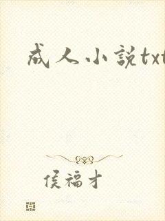 成人小说txt