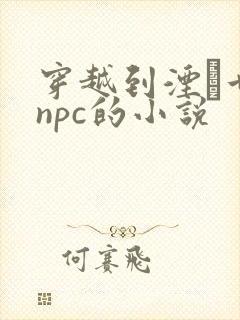 穿越到湮婸世界npc的小说