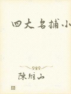 四大名捕小说