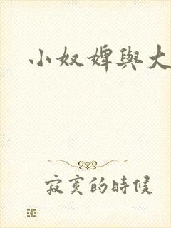 小奴婢与大少爷