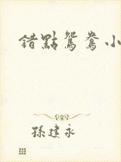 错点鸳鸯小说