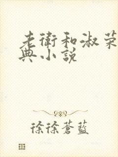 老卫和淑荣的经典小说