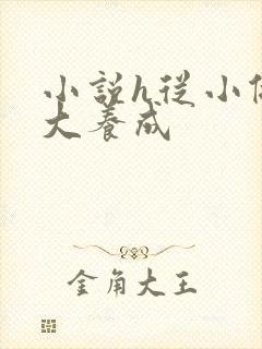 小说h从小做到大养成