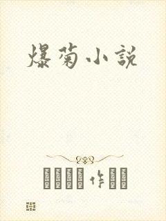 爆菊小说