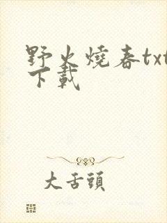 野火烧春txt下载