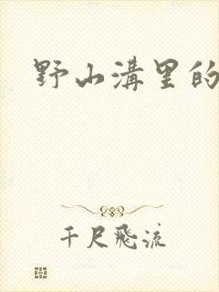 野山沟里的村庄