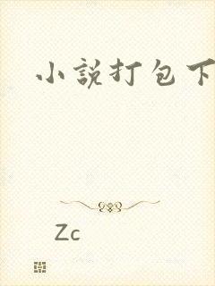 小说打包下载