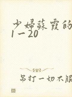 少妇苏霞的沉沦1一20