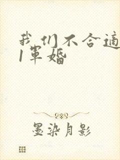 我们不合适1v1军婚