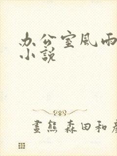 办公室风雨完整小说