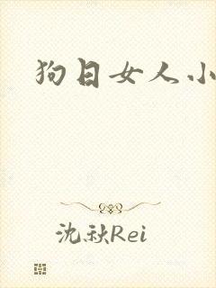 狗日女人小说