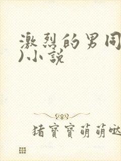 激烈的男同(h)小说