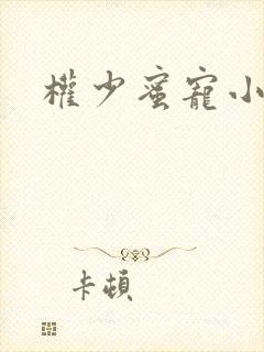 权少蜜宠小娇妻