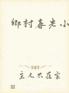 乡村春光小说