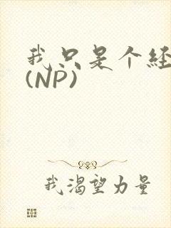 我只是个经纪人(NP)