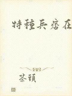 特种兵痞在都市