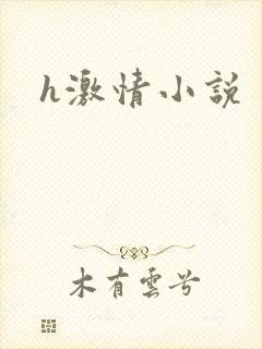h激情小说
