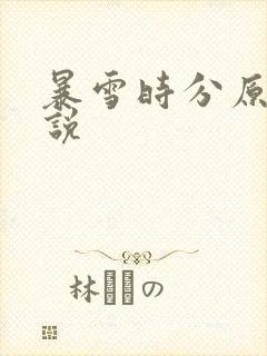 暴雪时分原著小说