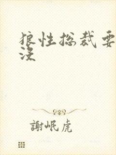 狼性总裁要够了没