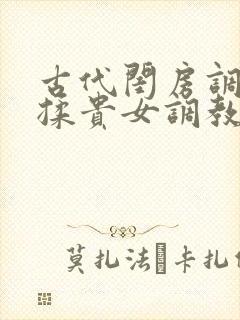 古代闺房调教h揉贵女调教记