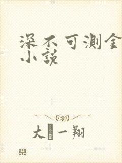 深不可测金银花小说