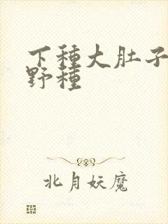 下种大肚子怀孕野种