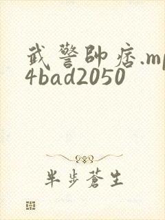 武警帅痞.mp4bad2050