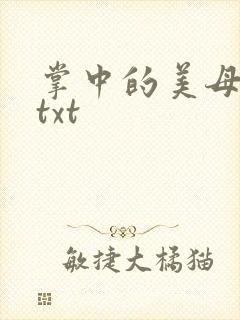 掌中的美母版主txt