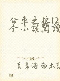 公车之狼12集全小说阅读