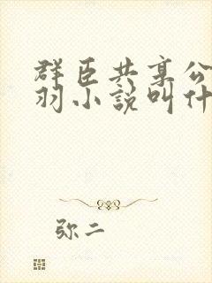 群臣共享公主银羽小说叫什么