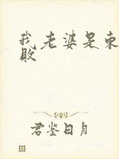 我老婆是东方不败