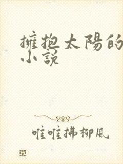 拥抱太阳的月亮小说