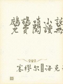 鹧鸪哨小说网站免费阅读无弹窗