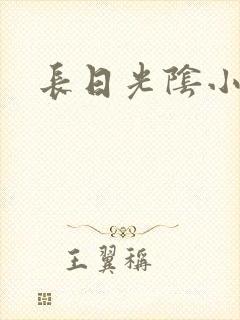 长日光阴小说