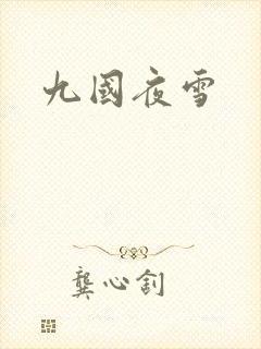 九国夜雪