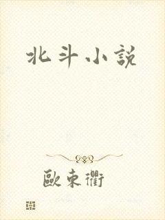 北斗小说