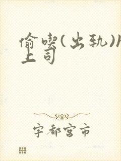 偷吃(出轨)h上司