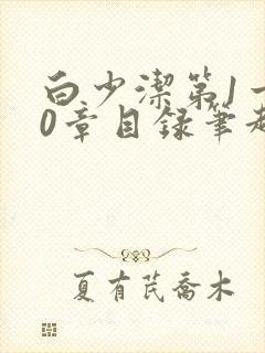 白少洁第1一40章目录笔趣阁