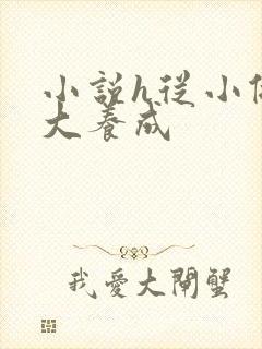 小说h从小做到大养成