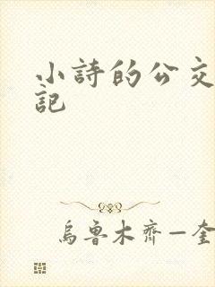 小诗的公交车日记