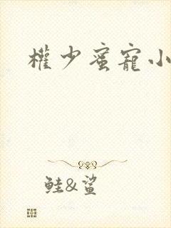 权少蜜宠小娇妻