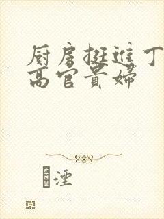 厨房挺进丁字裤高官贵妇