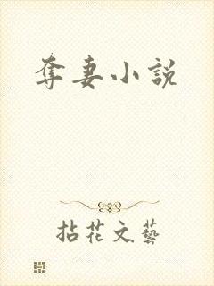 夺妻小说