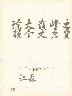 徐大巅峰之路小说全文免费阅读