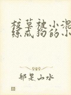 校草被小混混训练成狗的小说