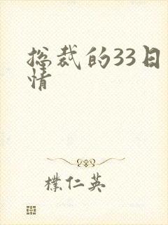 总裁的33日索情